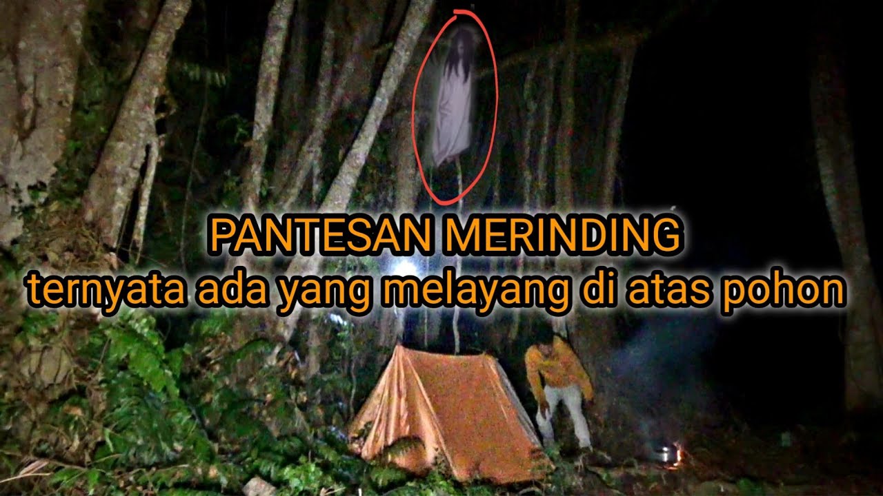 CAMPING HOROR‼️SEREM ,tertangkap kamera sosok berkain kafan di atas pohon sambil tertawa