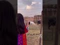 ابايعك