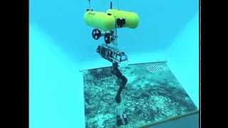 Famous Trident gripper experimental test Profile