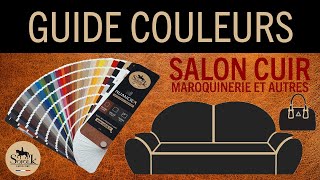 Rénovation Cuir Canapé Choisir Sa Couleur Sans Erreur Sofolk.fr