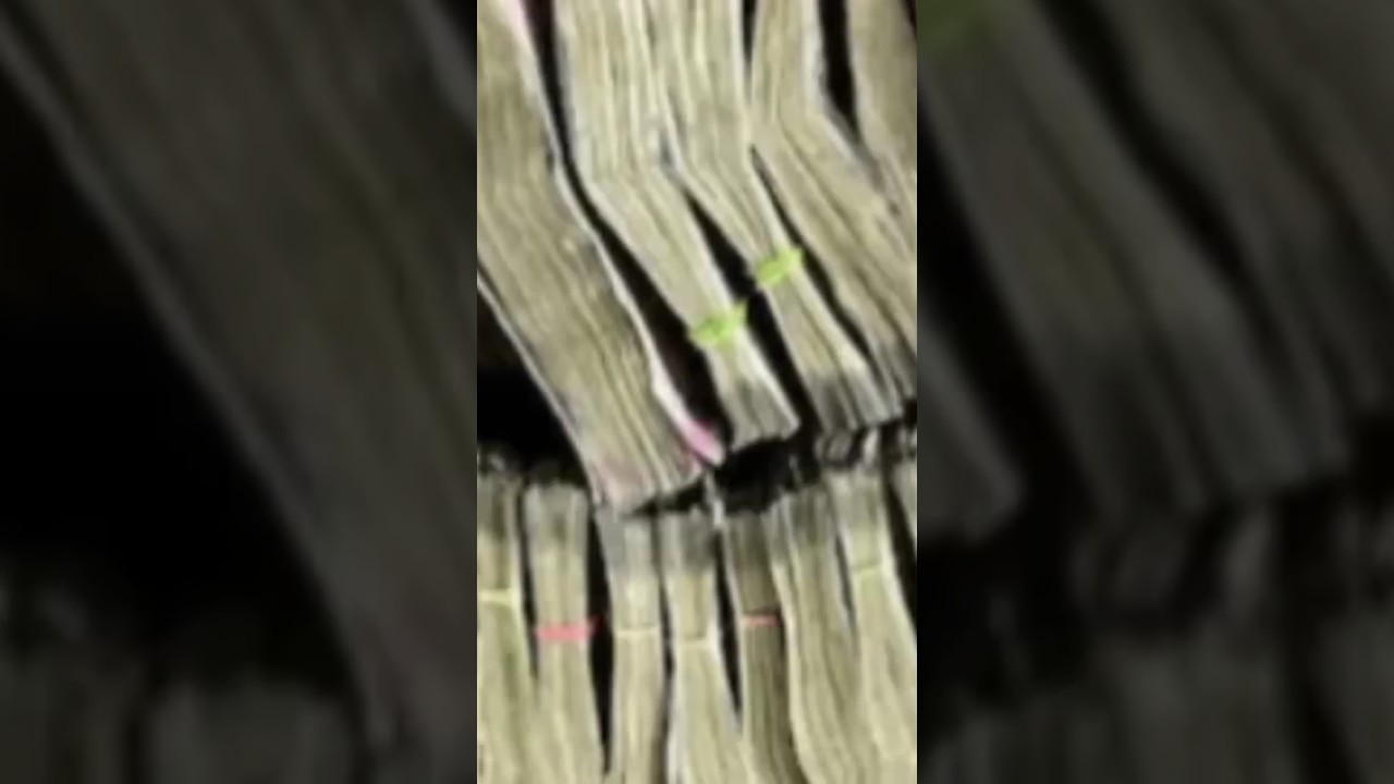 paisa bnao paisa power off Mani💪💪 