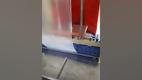 Web sealer with shrink wrapping machine