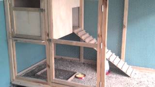 Calgaro Garnizé - Medidas do Galinheiro