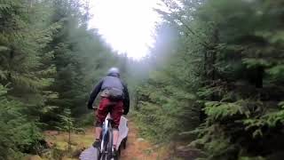 Ae forest  mtb trails Scotland