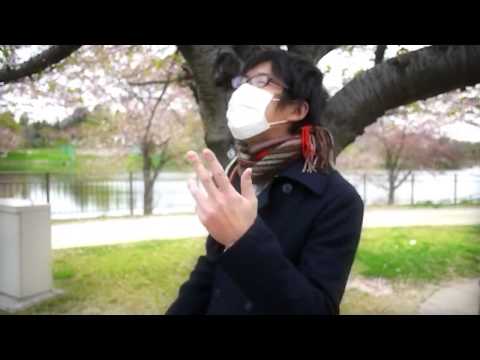 （桜ノ雨）歌ってみた『オリジナルPV』