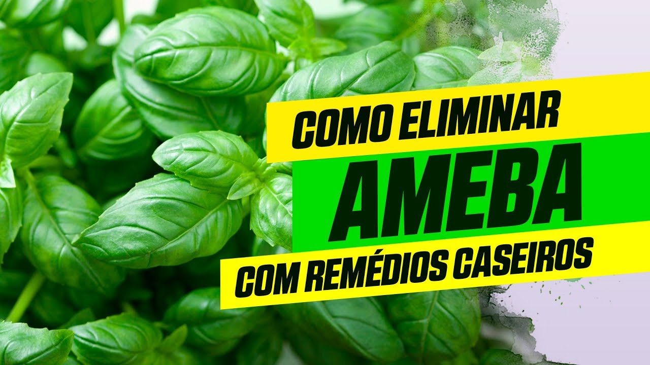 Como eliminar ameba com remédios caseiros - YouTube