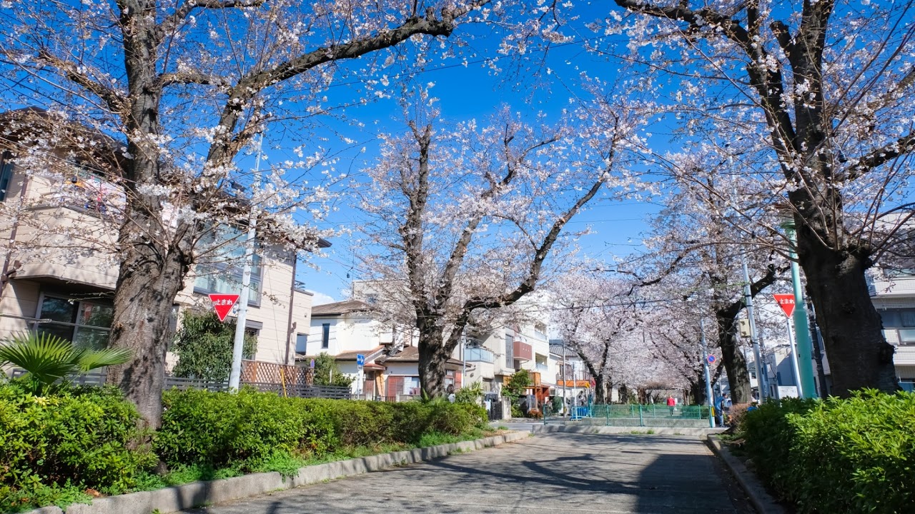 埼玉県川口市金山町ライブカメラ Saitama Kawaguchi Live camera.world.cam