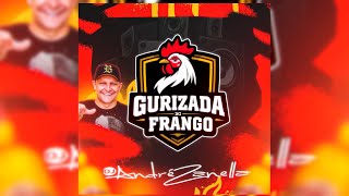 CD GURIZADA DO FRANGO 2026 (Dj André Zanella) - YouTube