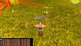 Westfall Chicken - Wow Vanity Pet Part 1.avi