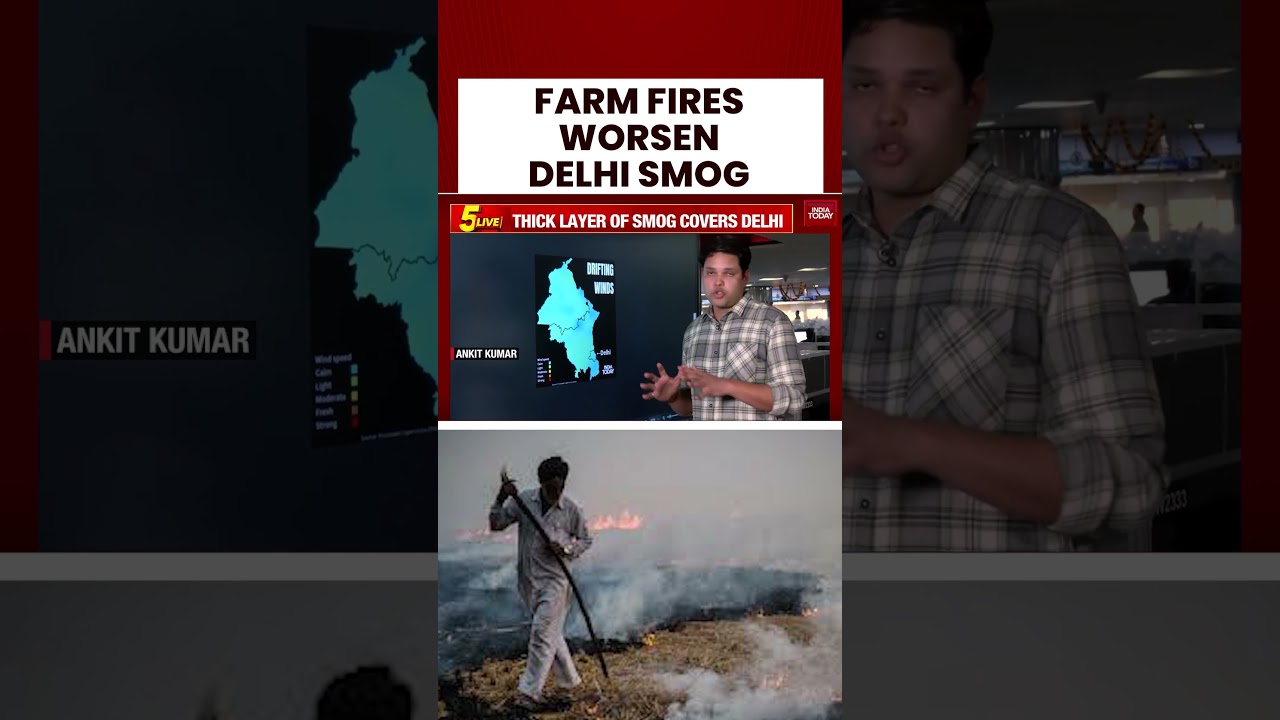 Farm Fires Aggravate Delhi Smog: Toxic Air Hits Capital, Residents Struggle to Breathe 