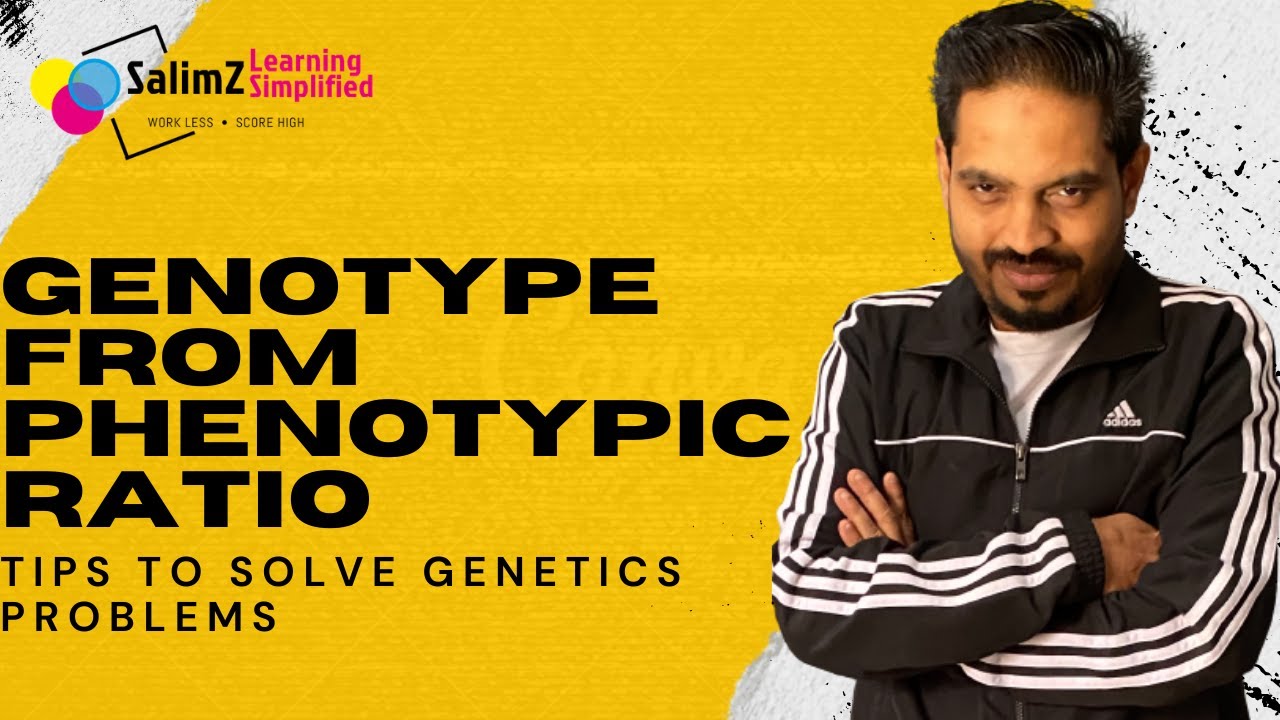 How to solve genetics problems - YouTube