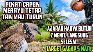 Pikat Capek Merayu Target Tak Mau Turun || Ajaran Hanya Butuh 7 Menit Mengamankan BL G4G4P INI‼️