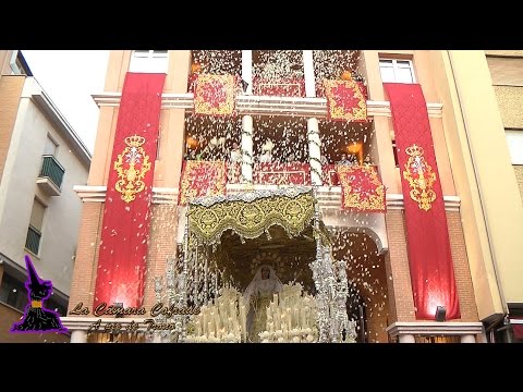 Real, Ilustre y Venerable Hermandad Sacramental de Nuestro Padre Jesús Nazareno de los Pasos en el Monte Calvario y María Santísima del Rocío Coronada