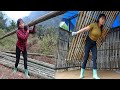 Full video: 90 days of a young female CEO building a farm and the ending...