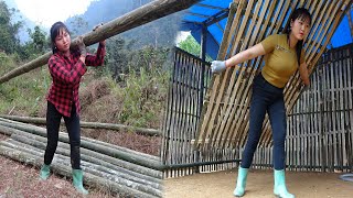 Full video: 90 days of a young female CEO building a farm and the ending...