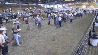 Topeka Livestock Auction Live Stream
