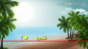 القارئ محمد غازي صوت خلاب ورائع تبارك الله