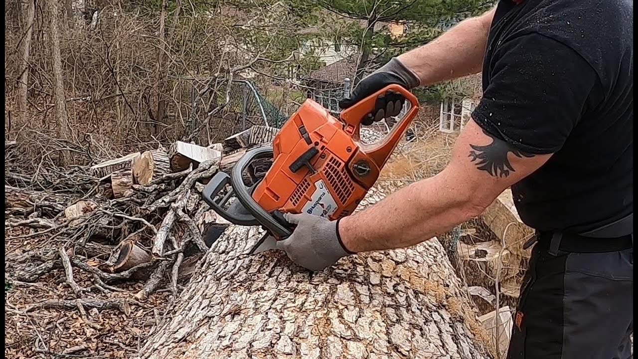 372 Tune and some trees...etc