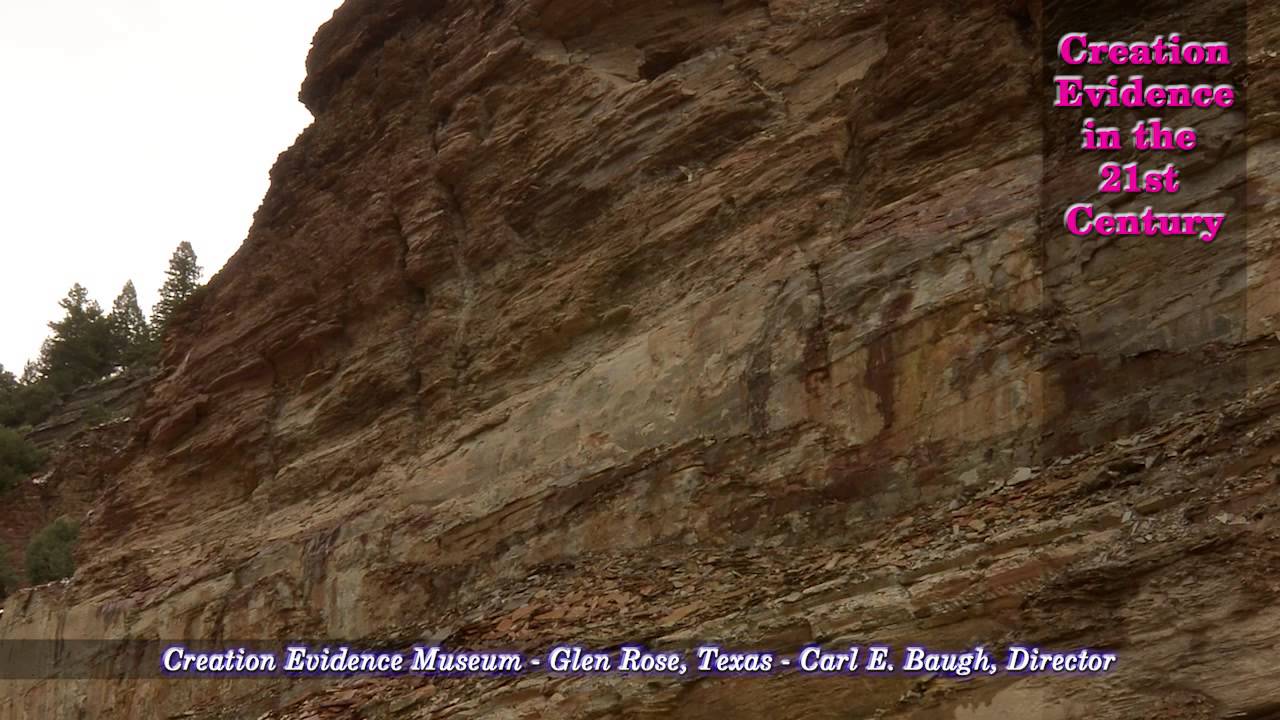 Colorado Dinosaur Excavations Miocene Quarry (part 1) YouTube