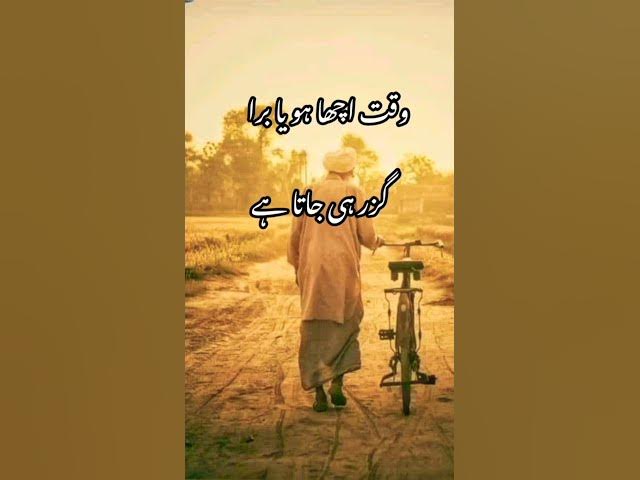 deep two line poetry status🥀| heart touching shayari status💔| #shorts #touqeerkhan19