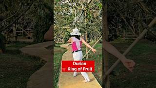 shuffledance at Durian Garden in Bogor