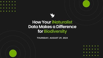 Webinar: How Your iNaturalist Data Makes a Difference for Biodiversity