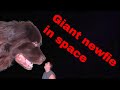 Giant newfoundland in space * Intentional cringe