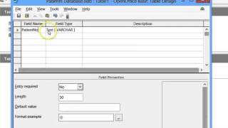 04 Basic Field Properties