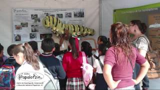 Cicea Papalotzin En Expoambiente Tijuana 2012