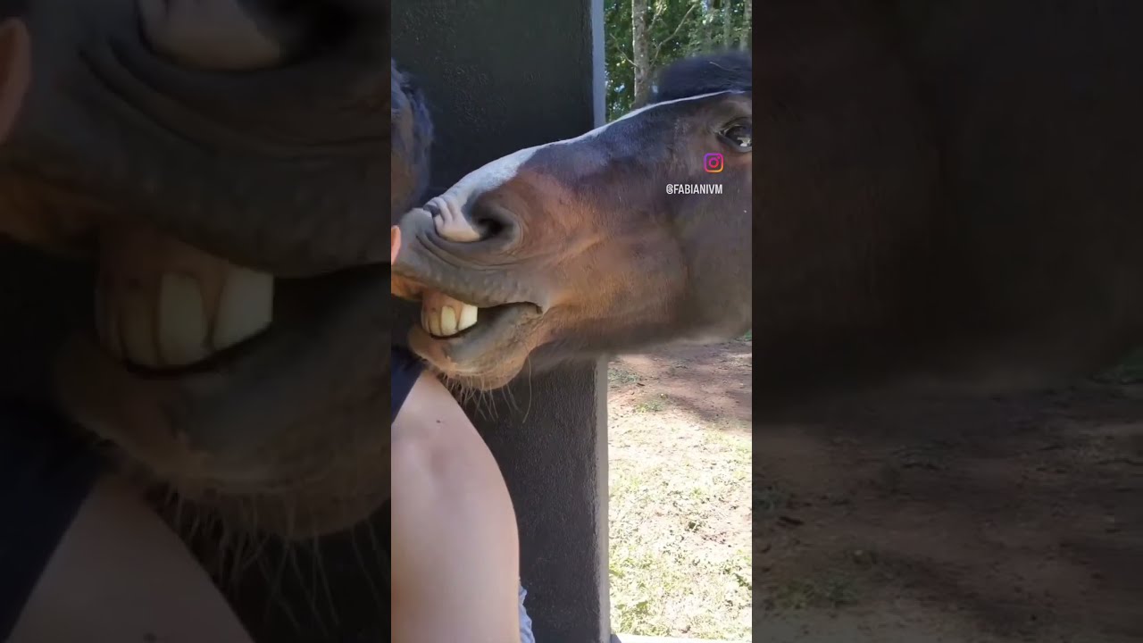 He Just Wanted A Little Bite