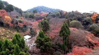 Япония. Город Киото.1)Храм Чистой Воды - Киёмидзу-дэра /Otowa-san Kiyomizu-dera. Kyoto(Древнюю столицу Японии Киото называют городом храмов и культурной столицей страны. Сюда приезжают, чтобы..., 2015-12-16T14:24:54.000Z)