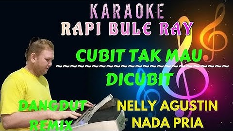 CUBIT TAK MAU DICUBIT - Nelly Agustin | Karaoke | nada Pria | Lirik | Dutmix
