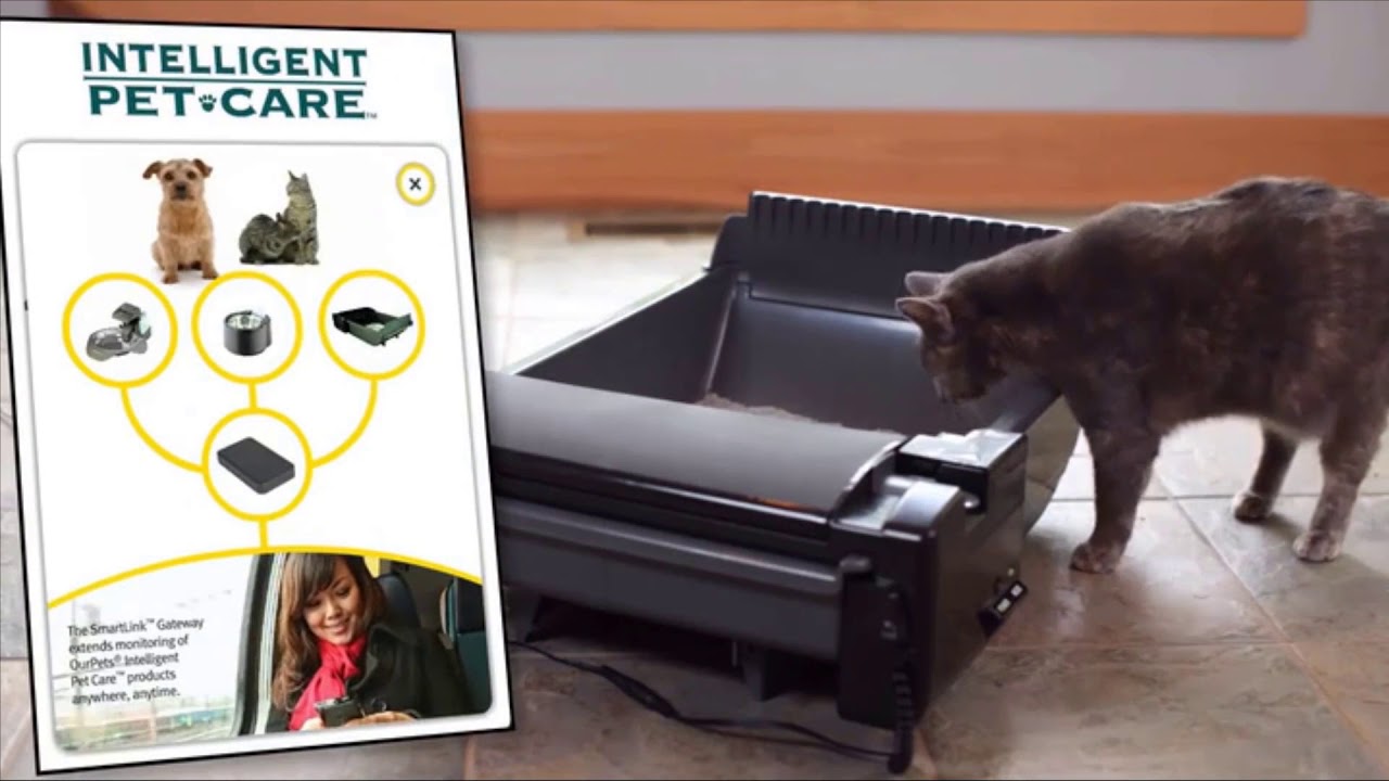 [Top 7] best automatic litter box Reviews 2020 YouTube