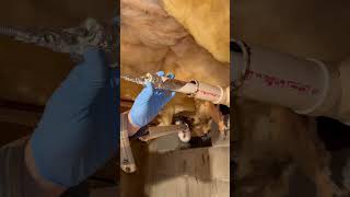 Trying Drano To Clear A Drain. Whats The Next Thing We Do?