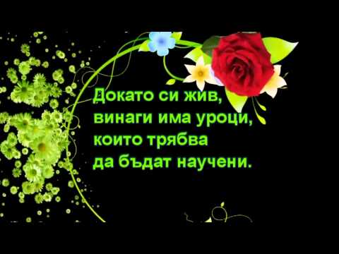 ПРАВИЛА ЗА ЧОВЕШКИТЕ СЪЩЕСТВА