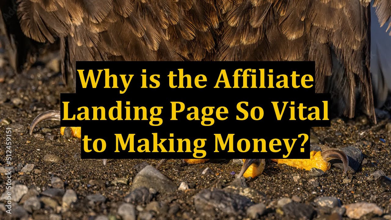 Why is the Affiliate Landing Page So Vital to Making Money?