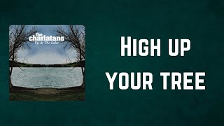 THE CHARLATANS - High up your tree (Lyrics)