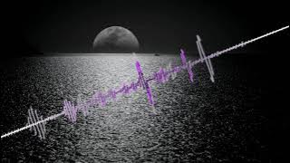Muse - Starlight (SINSUA Progressive House/Melodic Techno Remix)