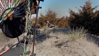 AWESOME TURKEY BOW HUNTING | NO BLIND at 15 yards |