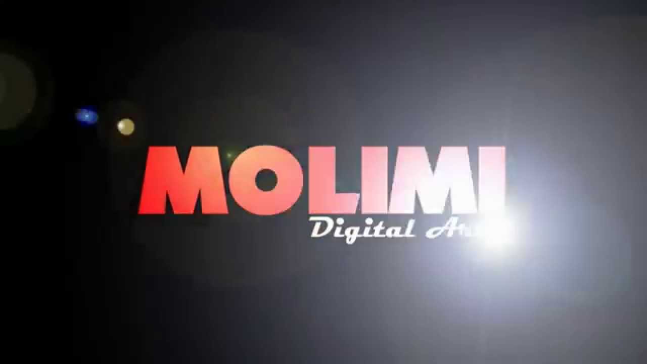 Molimi Exhibition Sizzle Reel Feb 2015