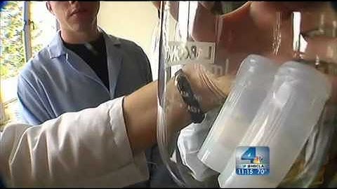 Mercury in Fish - Dr. Joseph Sciabbarrasi