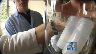 Mercury in Fish - Dr. Joseph Sciabbarrasi