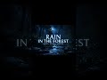 Deep Sleep ASMR 🌙 Rain  Forest Sounds