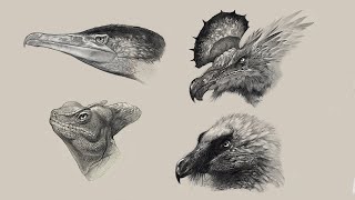 Master the Art of Drawing Realistic Fur and Feathers