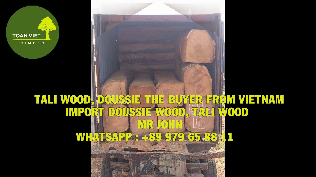 Import Doussie Africa   The Buyer from Vietnam