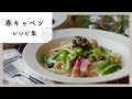 【春キャベツレシピ集】柔らかくて甘い♪夕飯おかずや麺レシピ、お弁当おかずなど！｜macaroni（マカロニ）