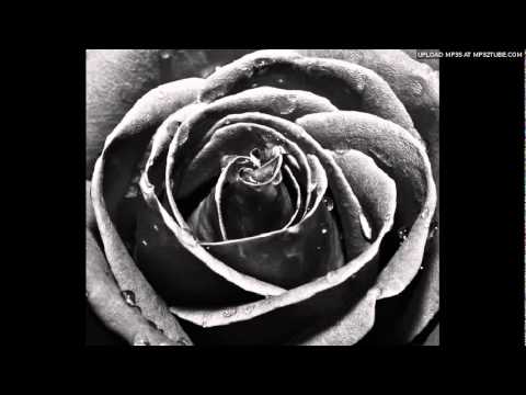 Kamal Muhamed Gray Pazhara Avi