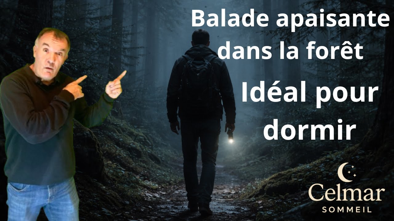 Balade apaisante dans la forêt 🌲 Chants d’oiseaux & immersion nature pour calmer l’esprit