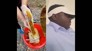 Jattwork digital,Extreme Honey comb harvesting|Horvesting honey from Beehive 🐝#trending Thank you