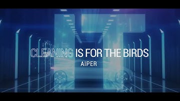 Experience the World